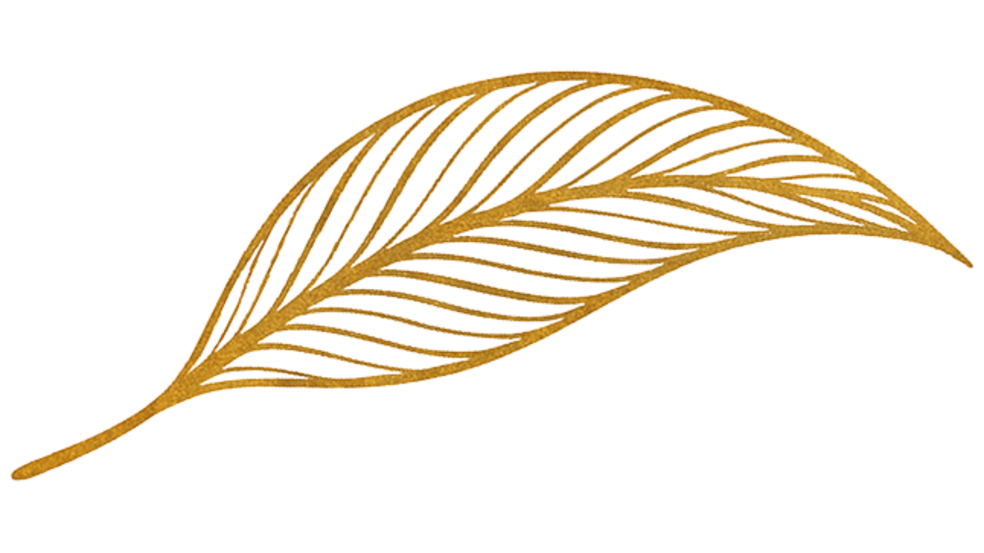 Omah Martimbang logo